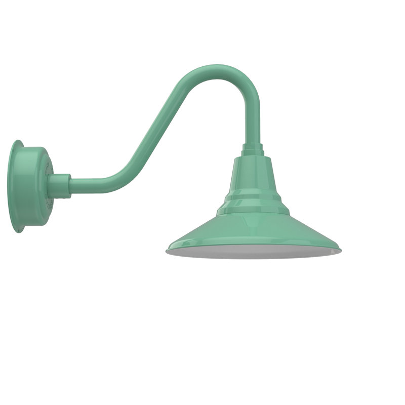 Luminaire de grange d'extérieur Albali, Jade, H 12,92 po x l 12 po x P 22,25 po