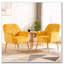Fauteuil d'appoint en velours, chaises de salon rembourrées modernes-1929614497