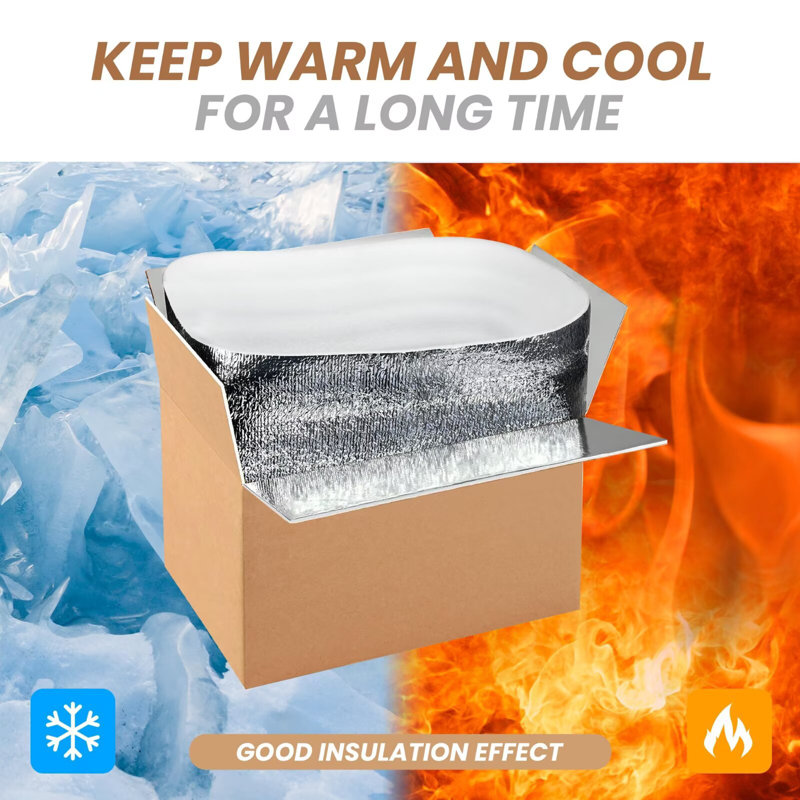 6 Pack 12 Inch x10 Inch x7 Inch Insulated Shipping Boxes with Aluminum Foil Liner,Thermal Insulation Cold Pack Shipping Boxes for Frozen , Reusable Styrofoam Cooler Box, Small Mailing Box