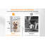 Caisse pour animal Chamiya-1615796642-1639795578