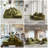 Modular Boneless Sofa Chair, High-Density Foam Floor Couch with 2 Pillows, Plush Velvet Armless Modular Seat, No Assembly Compressed Lazy Sofa for Living Room, Apartment, Bedroom（Green）-1534820043