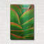 'Succulent VIII' By Dennis Frates Gold Metal Wall Art, 12" x 16"-133036602
