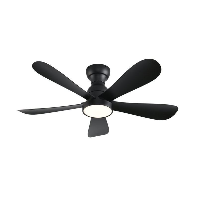 42 Inch RGB Ceiling Fans With Led Light and Remote/App Control, Flush Mount, RGB Dimmable Light, Modern Black Ceiling Fan for Kids Bedroom, Indoor/Covered Outdoor Use