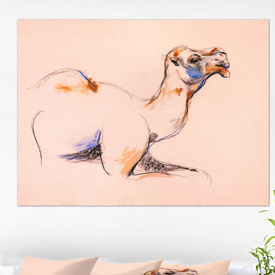 " Camel "
