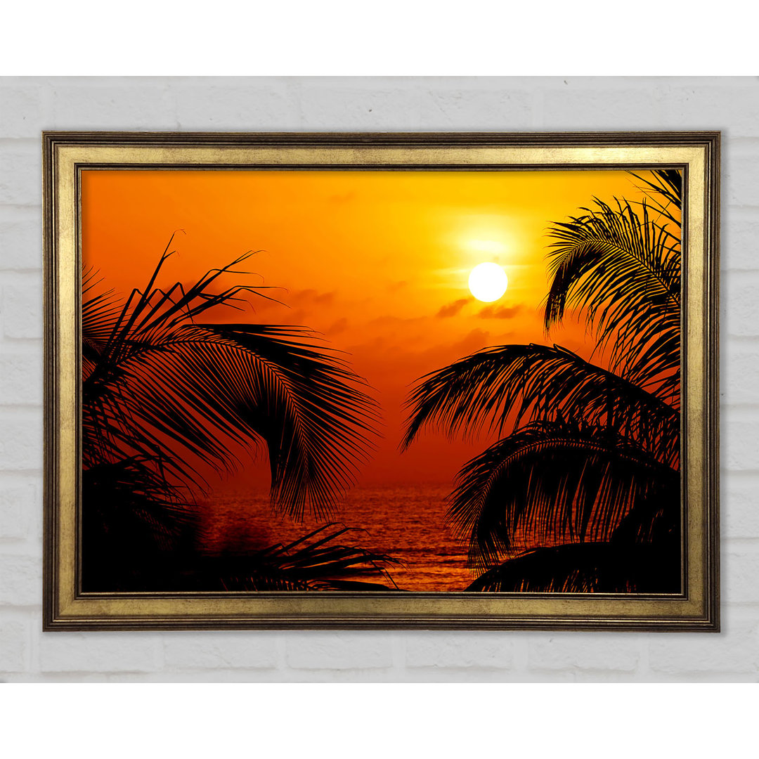 Orange Palmtree Sun Gerahmter Druck