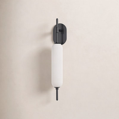 Single Light Steel Dimmable Armed Sconce