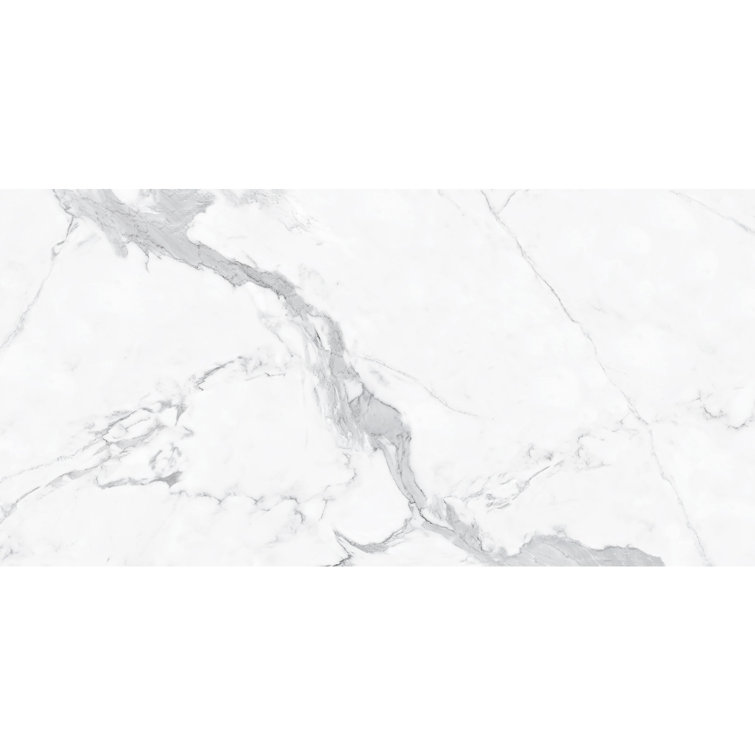 23.6" x 47.2" Porcelain Field Tile in Glossy Light Gray