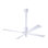 Pensi Ceiling Fan