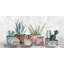 Reproduction «Succulents sains» sur toile tendue-229740246