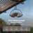 20" Outdoor Waterproof Fandelier Ceiling Fan with Dimmable LED Light and Remote-1691773888