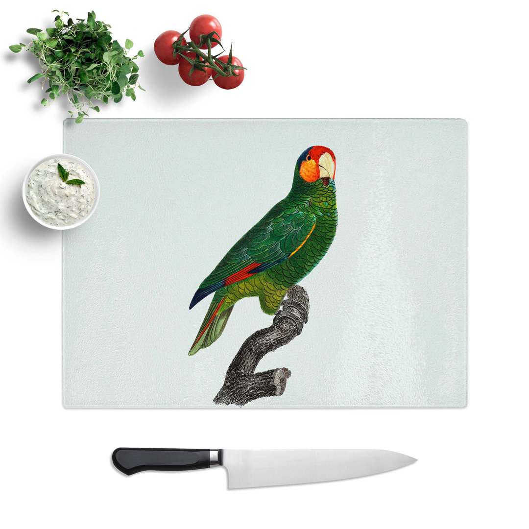 Tempered Glass Amazon Parrot by F. Levaillant Chopping Board