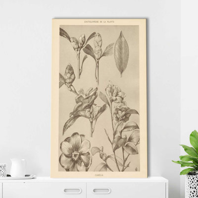 Lithographie de Florals II - peinture