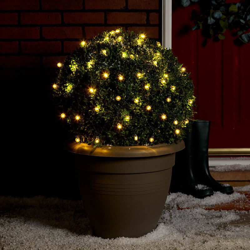 Indoor / Outdoor String Lights, Warm White
