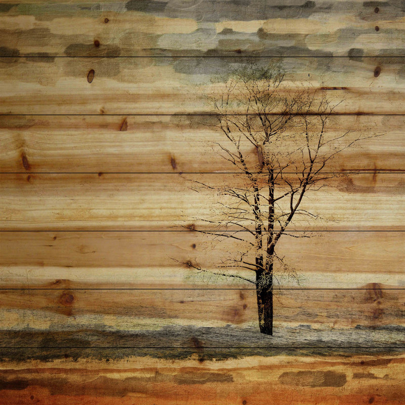 «Landscape & Nature Tree Stands Alone» par Parvez Taj - impression sur bois, H 24 po x l 24 po x p 1,5 po