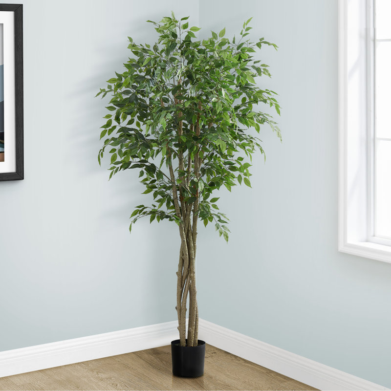 Ficus Tree, Floor, Real Touch, Potted