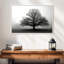 Arbre dans la brume-32296349-32296348