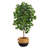 48 " H Faux Ficus Tree-2043772171