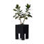 TORA Wood Planter-1062656939-1040334554