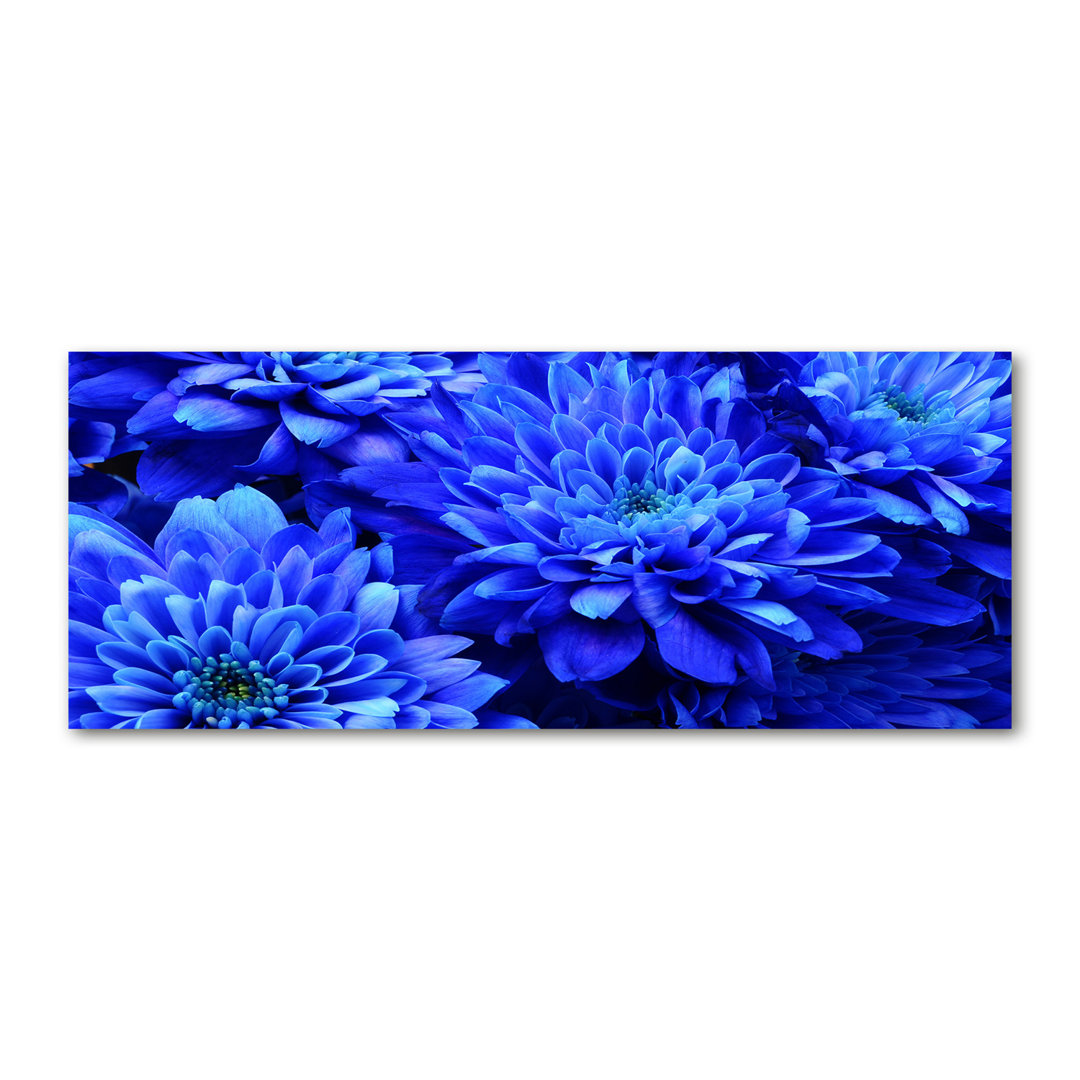 Blaue Aster - Kunstdrucke auf Segeltuch