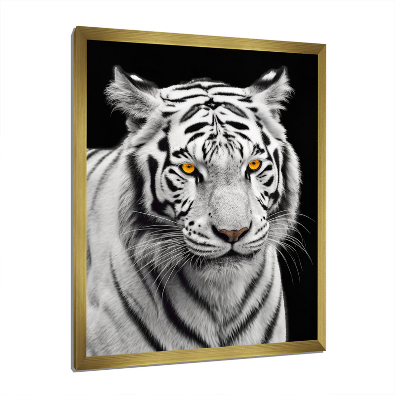 Tigre blanc féroce IV - reproduction sur toile, H 40 po x l 30 po x P 1,5 po, Cadre doré à une seule photo