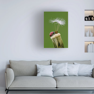 Roberto Marini Private Island Canvas Art