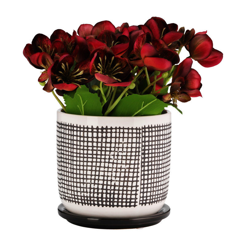 Pot à fleurs 6 "en maille avec soucoupe