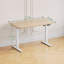 Electric Standing Desk Height Adjustable Desk Sit Stand Desk With Time Reminder Stand up Desk 2 Memory Setting Electric Desk -1206005171-1206005168