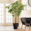 Weside Alvero Baskets