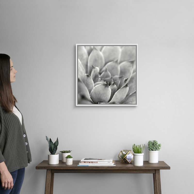 «Garden Succulent I», art mural sur toile, H 20 po x l 20 po x P 1,75 po, Toile avec cadre blanc