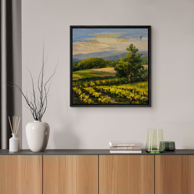 Sunlit Vineyard Landscape Rolling Hills Countryside Scenic Nature