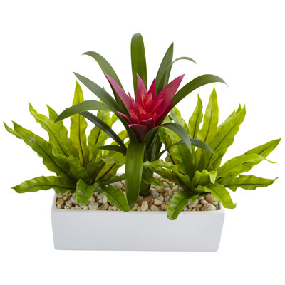 Bromeliad Arrangement in Planter