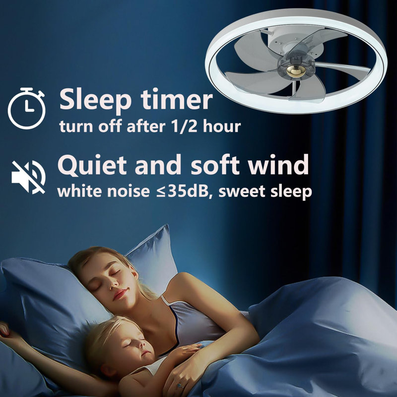 Ceiling Fan with LED Lights