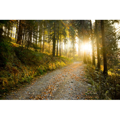 «Autumn Forest Path» par Kellyisp - impression sur toile tendue
