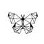 Wild Butterfly Wall Décor