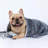 Pet Blanket-97900048-97900049
