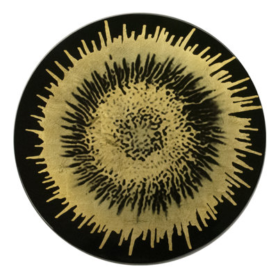 Splash On Black Lacquer Placemat