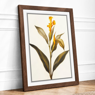 Golden Daffodil Study Botanical - Framed Print