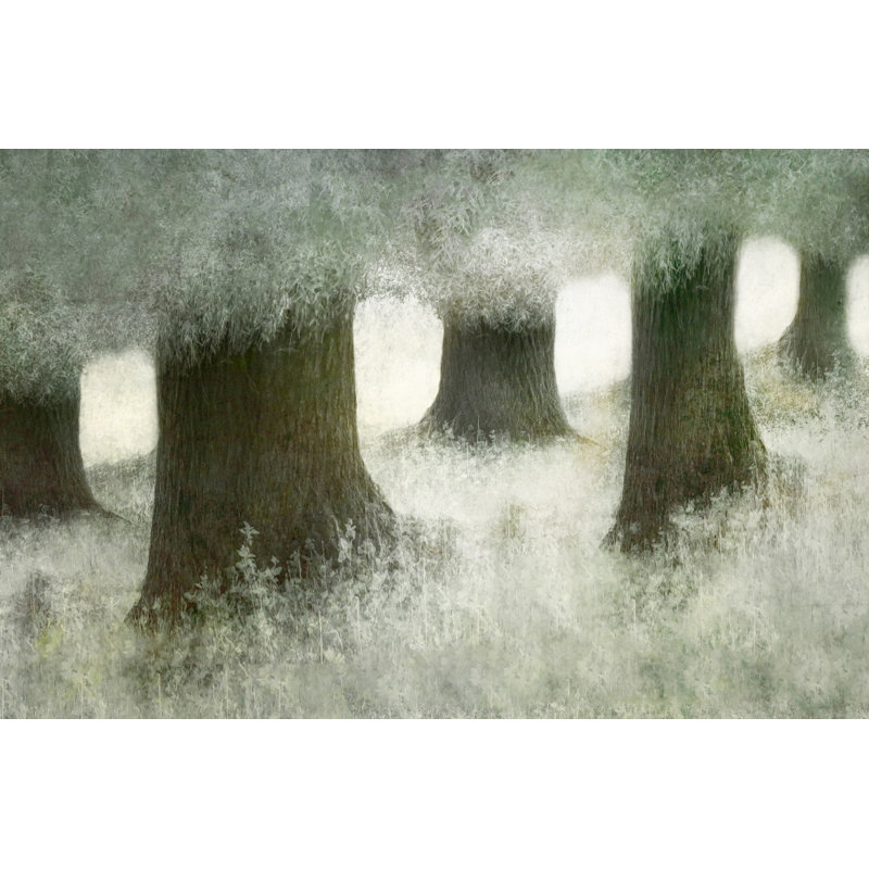 Wrapped Canvas Print, 50.8cm H x 76.2cm W