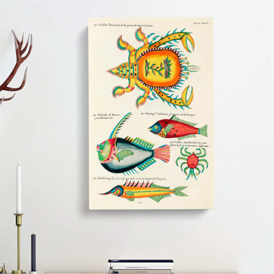 East Indies Fish & Crab Illustrations XLVI by Zhang Zeduan - Wrapped Canvas