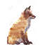 «Red Fox» sur toile
