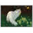 Cadre flottant blanc n'est pas disponible