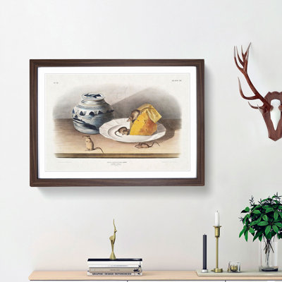 Mice by J.W. Audubon - Framed Print