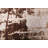 Daan Oriental Indoor Rug-36208459