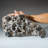 Véritable grappe d'ammonite fossilisée naturelle (11 lb)