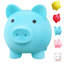 Tirelire cochon-1064784642-1064784643