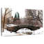 Ravi Gapstow Bridge Snow-107680202