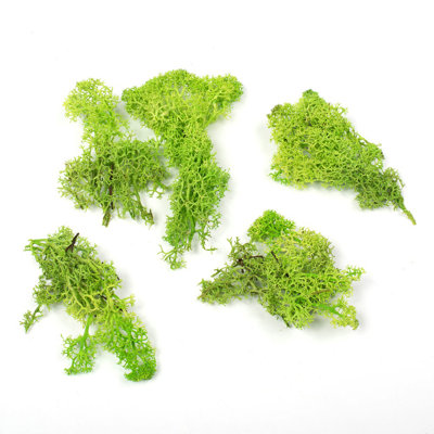 Faux Moss Plant
