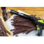 Chard Electric Jerky Shooter