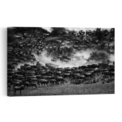 Great Migration Wildebeest Dramatic Abstract Contemporary Animal Nature Wall Art Print
