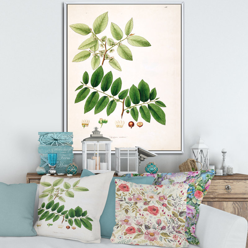 "Vintage Botanicals" - Peinture sur toile, H 32 po x l 16 po x P 1 po, Cadre flottant blanc